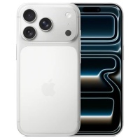 17_pro_silver