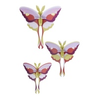 ttm198